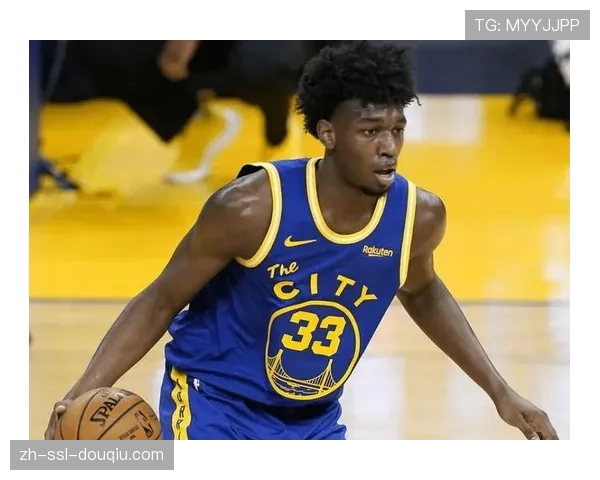 观点分析：传统中锋价值回归？数据显示季后赛球队更依赖高禁区命中率